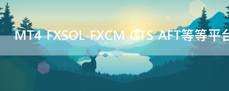 MT4 FXSOL FXCM GTS AFT等等平台哪种交易平台好点